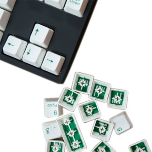 Tai-Hao Double Shot ABS White/Green Text - Full 104 Keys