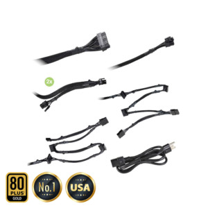 EVGA 650 GD - 80+ GOLD 650W - Hard Line (TRAY)