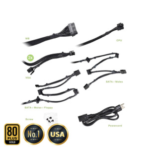 EVGA 700 GD - 80+ GOLD 700W - Hard Line (TRAY)