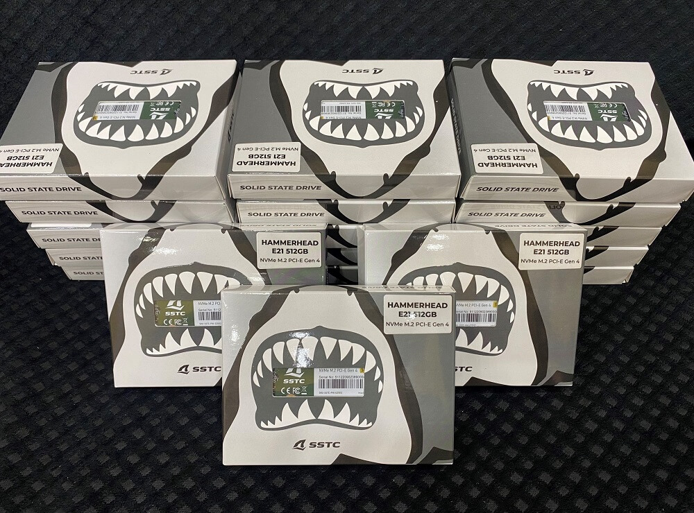 SSTC HAMMERHEAD E21 512GB - PCIe 4.0 x4 NVMe M.2