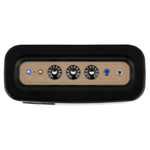 Fender Newport 2 Bluetooth Speaker - Black/Champagne