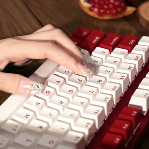 Rapoo V500 Pro Red And White - Gaming Mechanical Keyboard