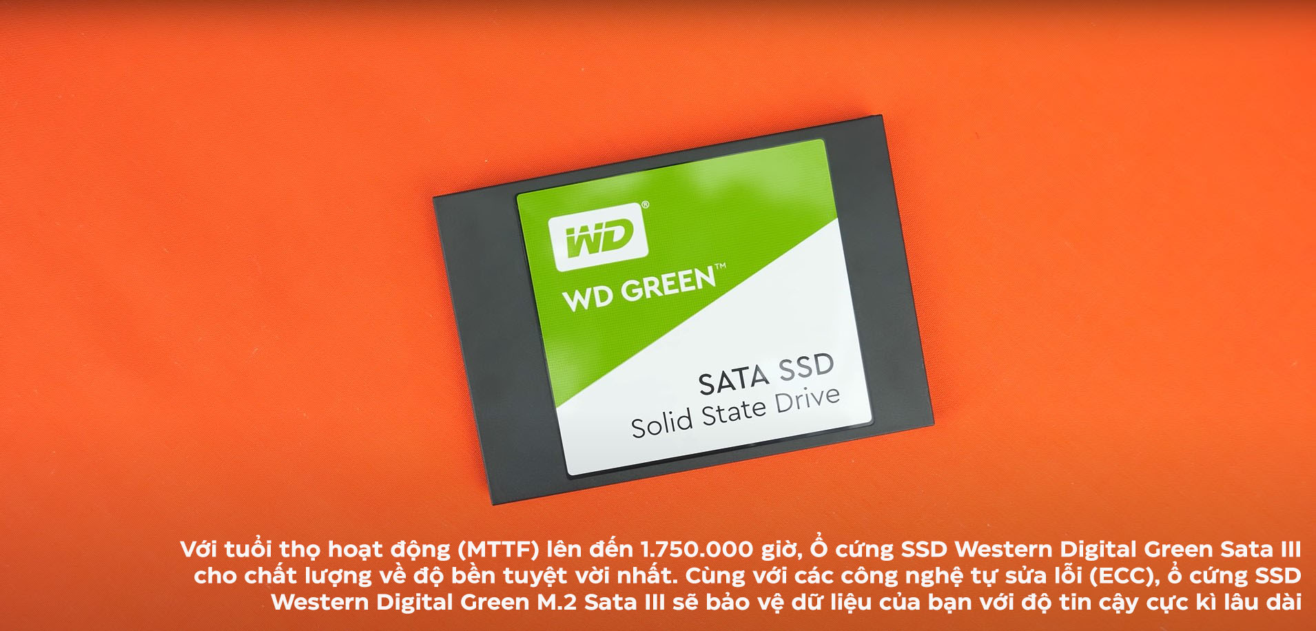 WD Green 240GB WDS240G3G0A - 2.5 Inch SATA III SSD
