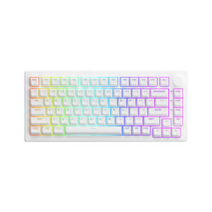 AKKO 5075B Plus White - Multimodes / RGB / Gasket mount