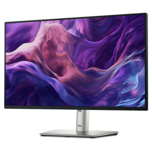 Dell P2425H - 24 inch FHD IPS / 100Hz / 5ms / USB Type-C