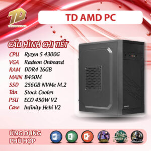 TD AMD PC (R5-4300G, B450M, Ram 16GB, SSD 256GB)