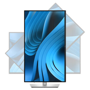 Dell Pro Plus P2725D - 27 inch WQHD IPS / 100Hz / 5ms / USB Type-C