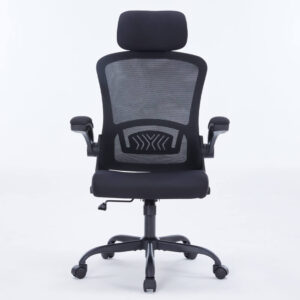 WARRIOR – Pawn series – WEC106 Black - Ghế công thái học ergonomic