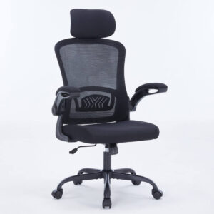 WARRIOR – Pawn series – WEC106 Black - Ghế công thái học ergonomic