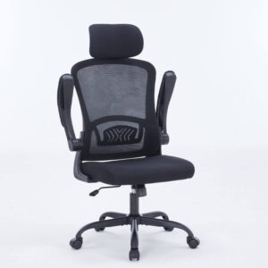 WARRIOR – Pawn series – WEC106 Black - Ghế công thái học ergonomic