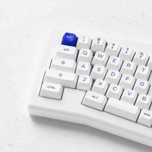 AKKO ACR Pro Alice Plus (Spray Painted White / RGB / Hotswap / AKKO CS Crystal / Gasket Mount)