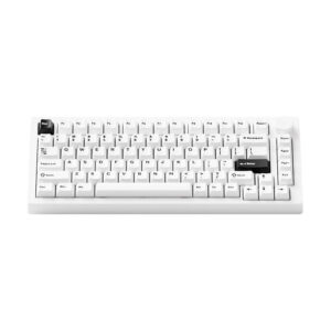 MonsGeek M1 V5 Black on White (Mirror Switches – Multi mode) - Gaming Mechanical Keyboard