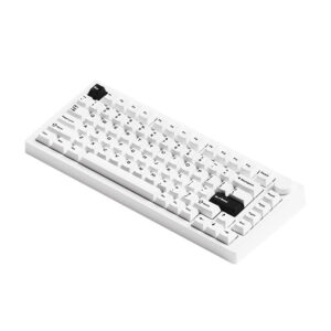 MonsGeek M1 V5 Black on White (Mirror Switches – Multi mode) - Gaming Mechanical Keyboard