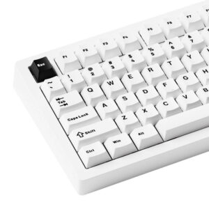 MonsGeek M1 V5 Black on White (Mirror Switches – Multi mode) - Gaming Mechanical Keyboard