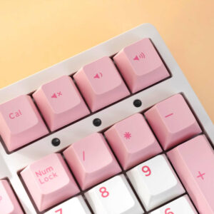 AKKO 3108 RF V3 Prunus Lannesiana Frost H7 AKKO 3108RF V3 Prunus Lannesiana (Dual-mode / AKKO Frost Pink Switch) - Gaming Keyboard
